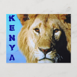 Kenya Safari Postkarte