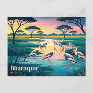 Keoladeo Nationalpark Indien Postkarte