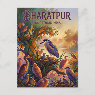 Keoladeo-Nationalpark Indien Postkarte