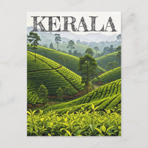 Kerala Indien Teeplantage Postkarte