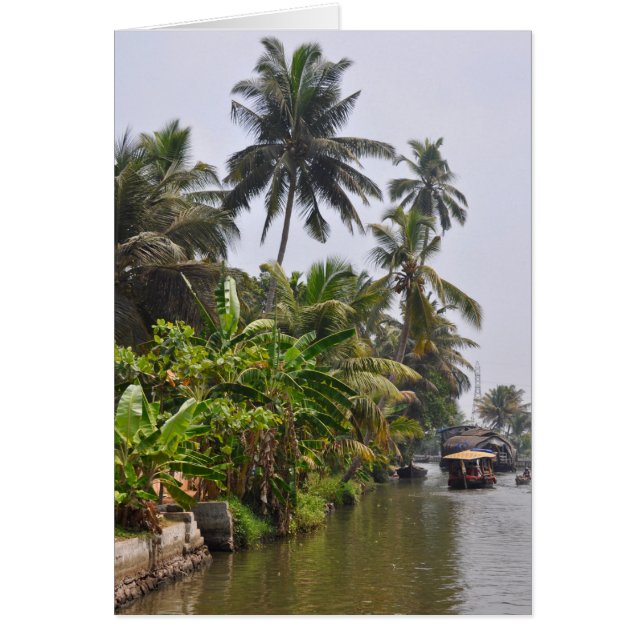 Kerala-Stauwasser (Vorne)