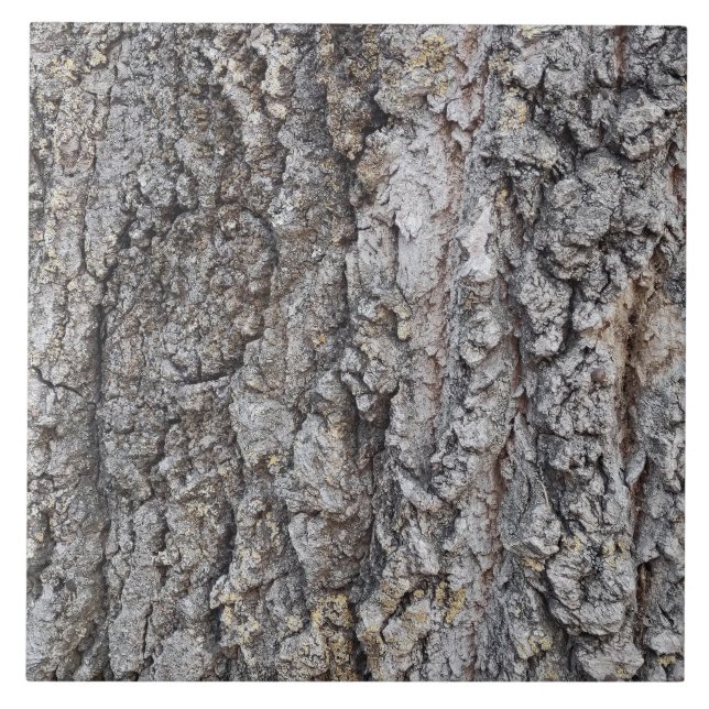 Keramik aus Bartholz Fliese (Vorderseite)