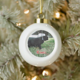 Keramik Ball Custom Cat Ornament