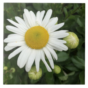 Keramik Blume Tile Fliese