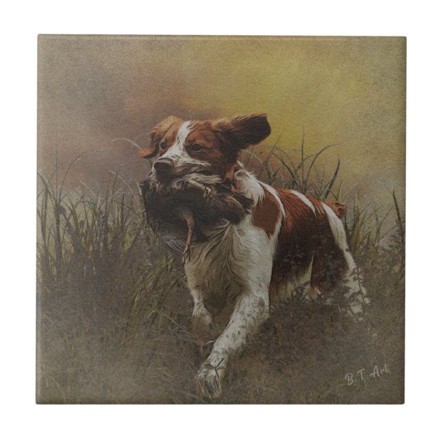 Keramik Bretagne spaniel Tile Fliese (Vorderseite)