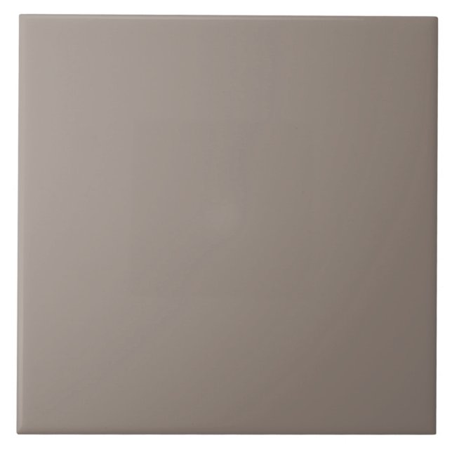 Keramik der neutralen Tonfarbe. Fliese (Vorderseite)