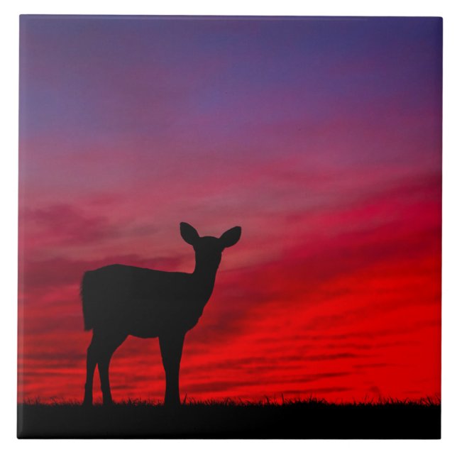 Keramik Fliese (Vorderseite)