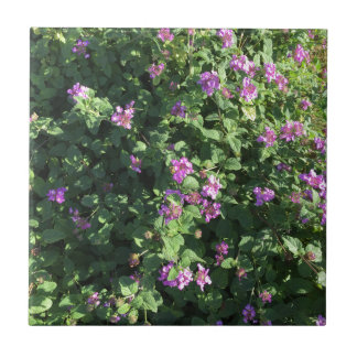 Keramik-Fliese (4,25" x 4,25") Fliese