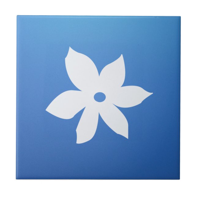 Keramik-Fliese Fliese (Vorderseite)