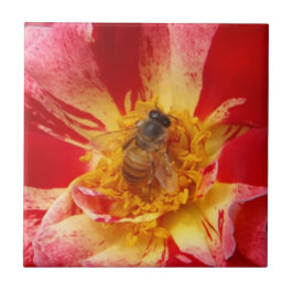 Keramik für Bienen und Blume Fliese