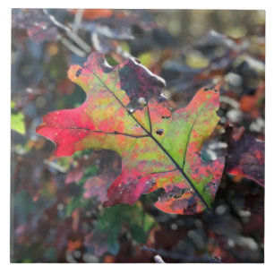 Keramik für Herbst Fliese