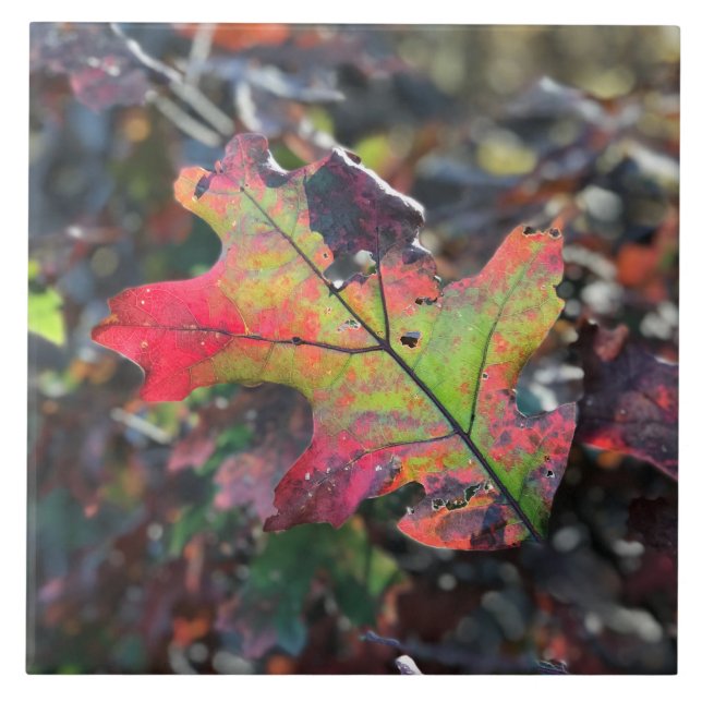 Keramik für Herbst Fliese (Vorderseite)