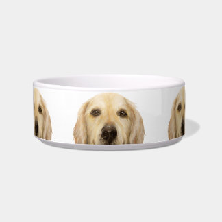 Keramik Haustier Bowl/ Golden Retrique Napf
