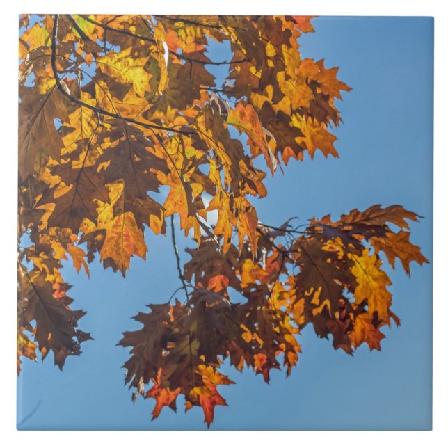 Keramik im Herbst Fliese (Vorderseite)