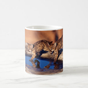 Keramik Kaffee Tasse Cougar Cubs