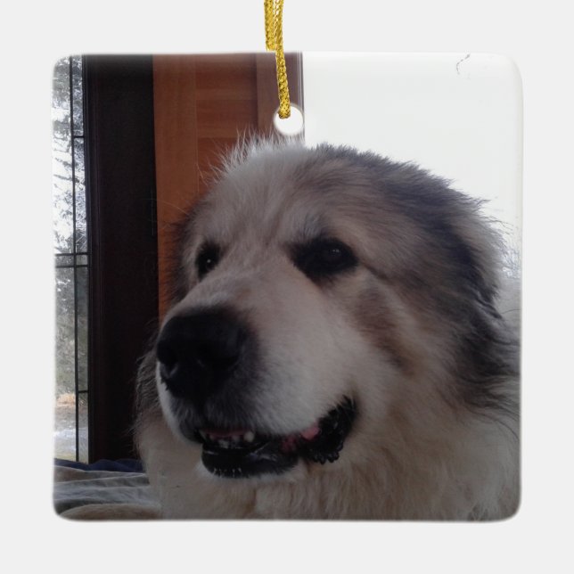 Keramik Keramikornament (Vorderseite)