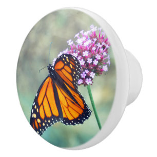 KERAMIK KNOB, MONARCH-SCHALTFLÄCHE AUF BLUME KERAMIKKNAUF