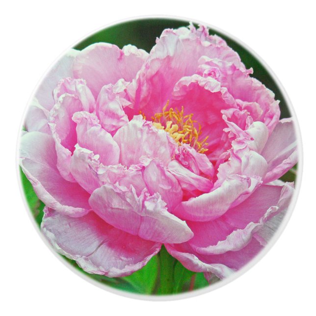 KERAMIK KNOB/ PINK PEONY KERAMIKKNAUF (Vorderseite)