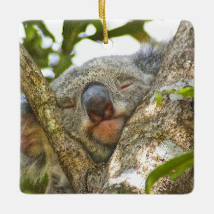 Keramik Koala Keramikornament