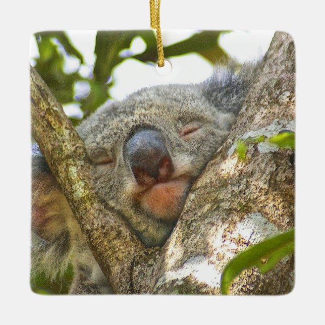 Keramik Koala Keramikornament (Vorderseite)