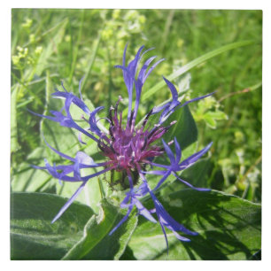 Keramik Mauerdekoration, blaue Blume Fliese