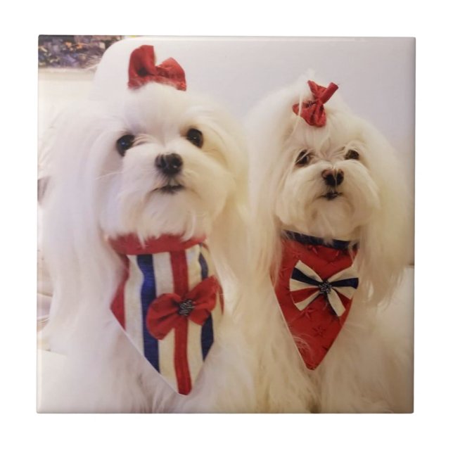 Keramik mit Maltesisch Fliese (Vorderseite)