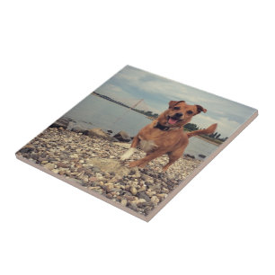 Keramik mit quadratischen Bildern Fliese