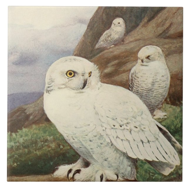 Keramik mit Vintagen Eule Fliese (Vorderseite)