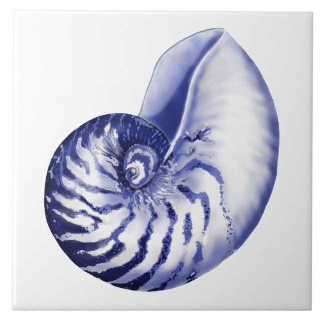 Keramik Nautilus-Muschel Fliese (Vorderseite)