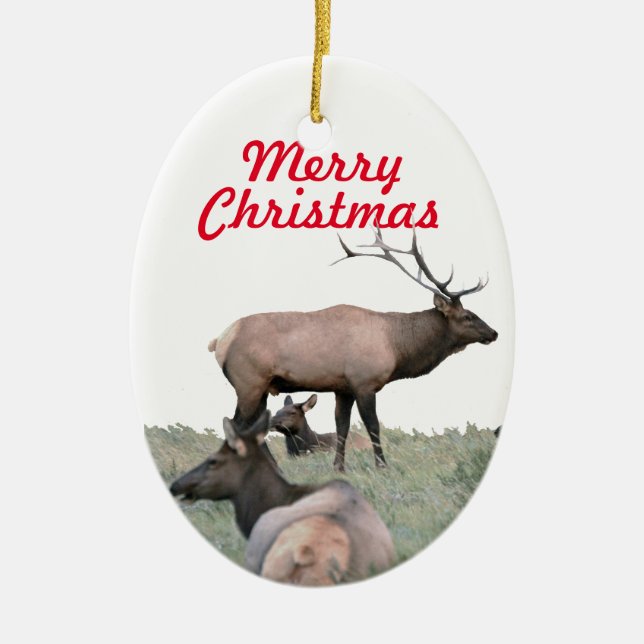 Keramik Ornament (Vorne)