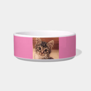Keramik Pet Bowl Napf