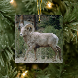 Keramik Rocky Mountain Big Horn Keramikornament