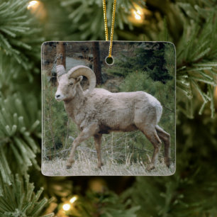 Keramik Rocky Mountain Big Horn Keramikornament