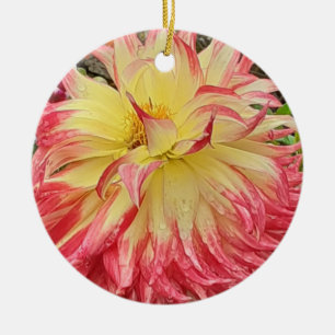 Keramik Rosa und Gelb Dahlia Keramik Ornament