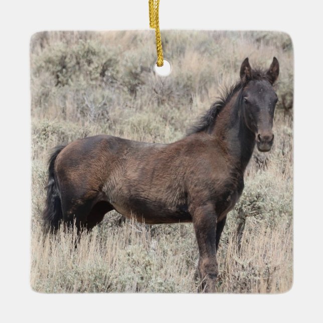 Keramik Sand Wash Becken Wilde Pferde Keramikornament (Vorderseite)