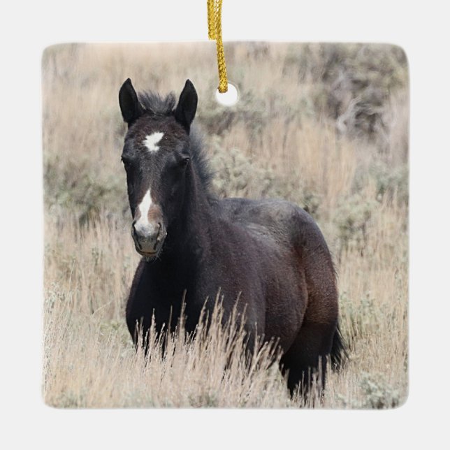 Keramik Sand Wash Becken Wilde Pferde Keramikornament (Vorderseite)