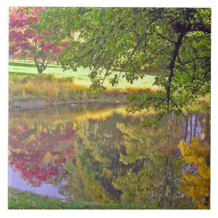 KERAMIK/SCHÖNE FARBEN, DIE IN POND SPIELEN FLIESE