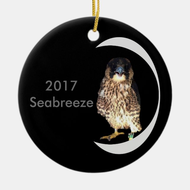 Keramik Seabreeze 2017 Ornament (Vorne)