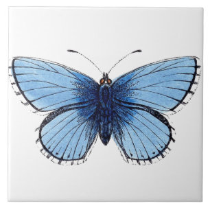 Keramik Tile - Blauer Schmetterling Fliese