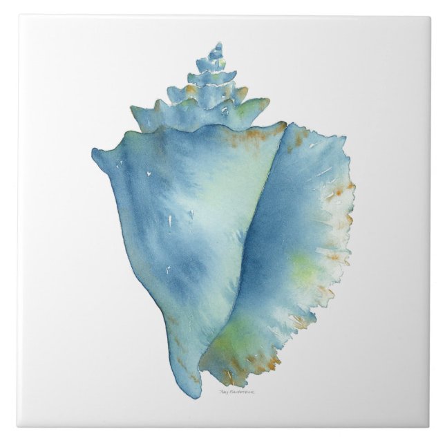 Keramik Tile - Blue Conch Seashell Fliese (Vorderseite)