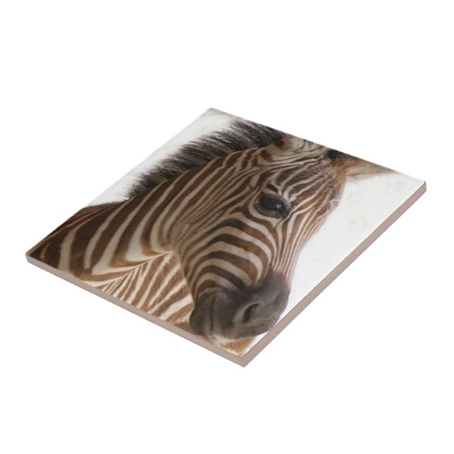 Keramik Tile Brown Zebra Stripe Fliese (Seite)