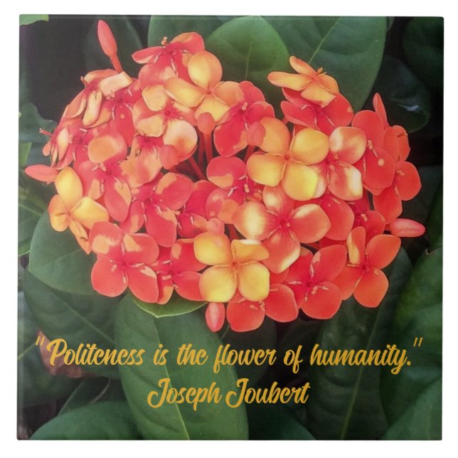 Keramik-Tile der blühenden Ixora Fliese (Vorderseite)