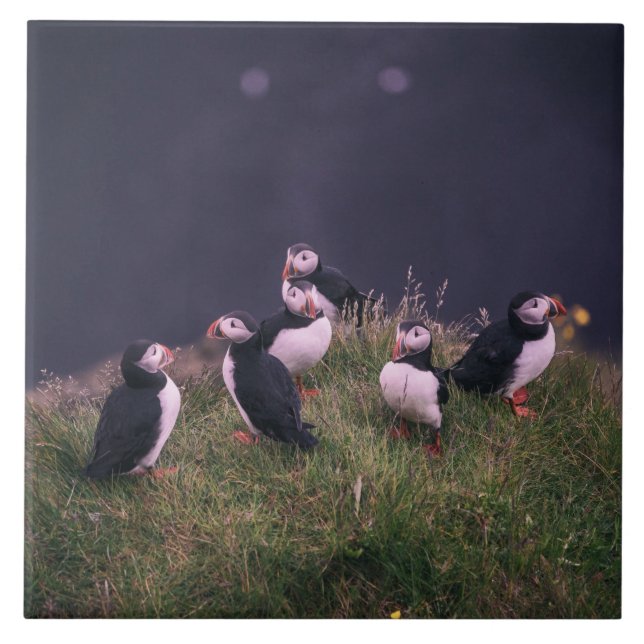 Keramik Tile Fliese (Vorderseite)