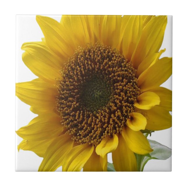 Keramik Tile Floral Sonnenblume Fliese (Vorderseite)