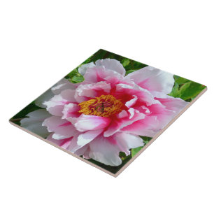 KERAMIK TILE/FRILLY ROSE-PINK & WHITE PEONY FLIESE