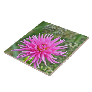 KERAMIK TILE /PINK DAHLIA FLIESE