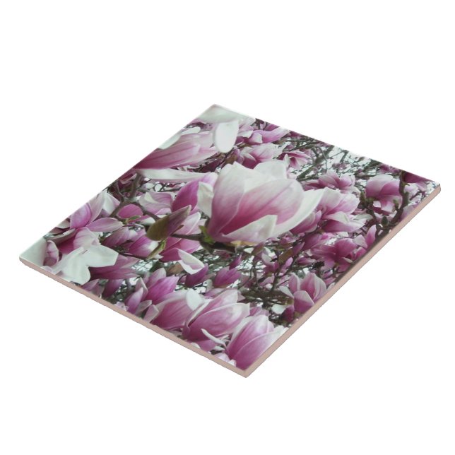 Keramik Tile - Saucer Magnolia Fliese (Seite)