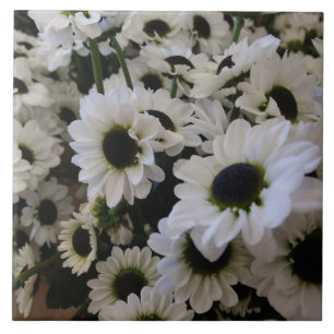 Keramik Tile - Schwarz & Weiß Daisy Fliese