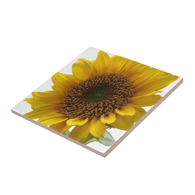 Keramik Tile Sonnenblume Fliese (Seite)