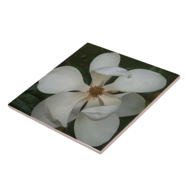 Keramik Tile - SüdMagnolien - Blossom II Fliese (Seite)